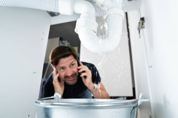 Best Clogged Drain Plumber  in Saegertown, PA